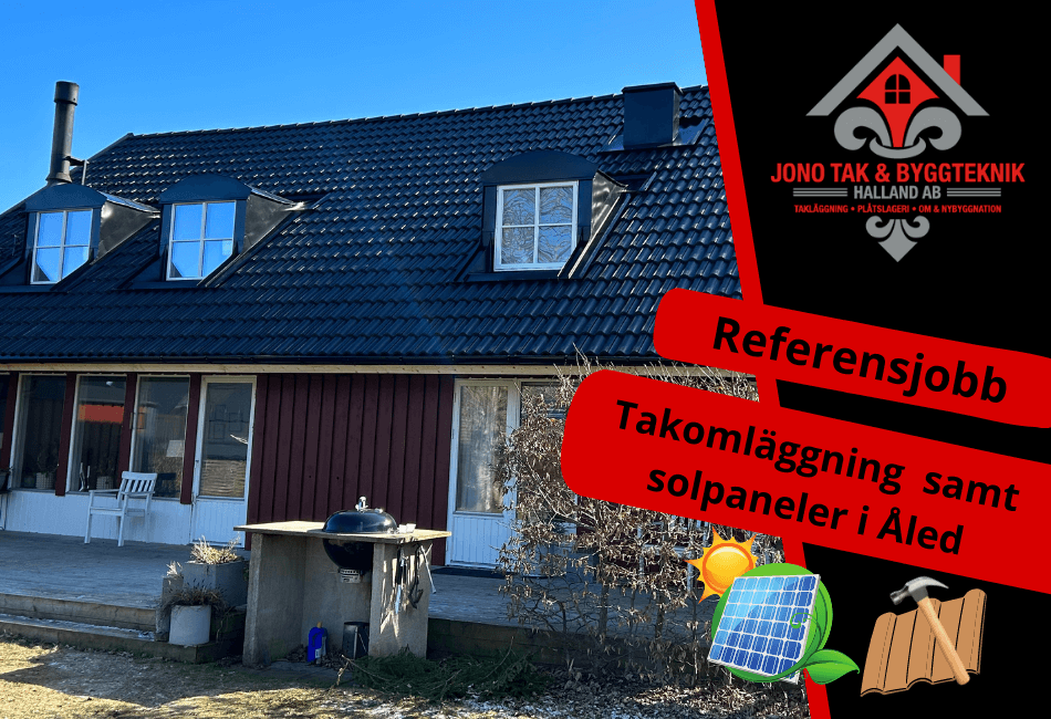 Takläggare i Åled